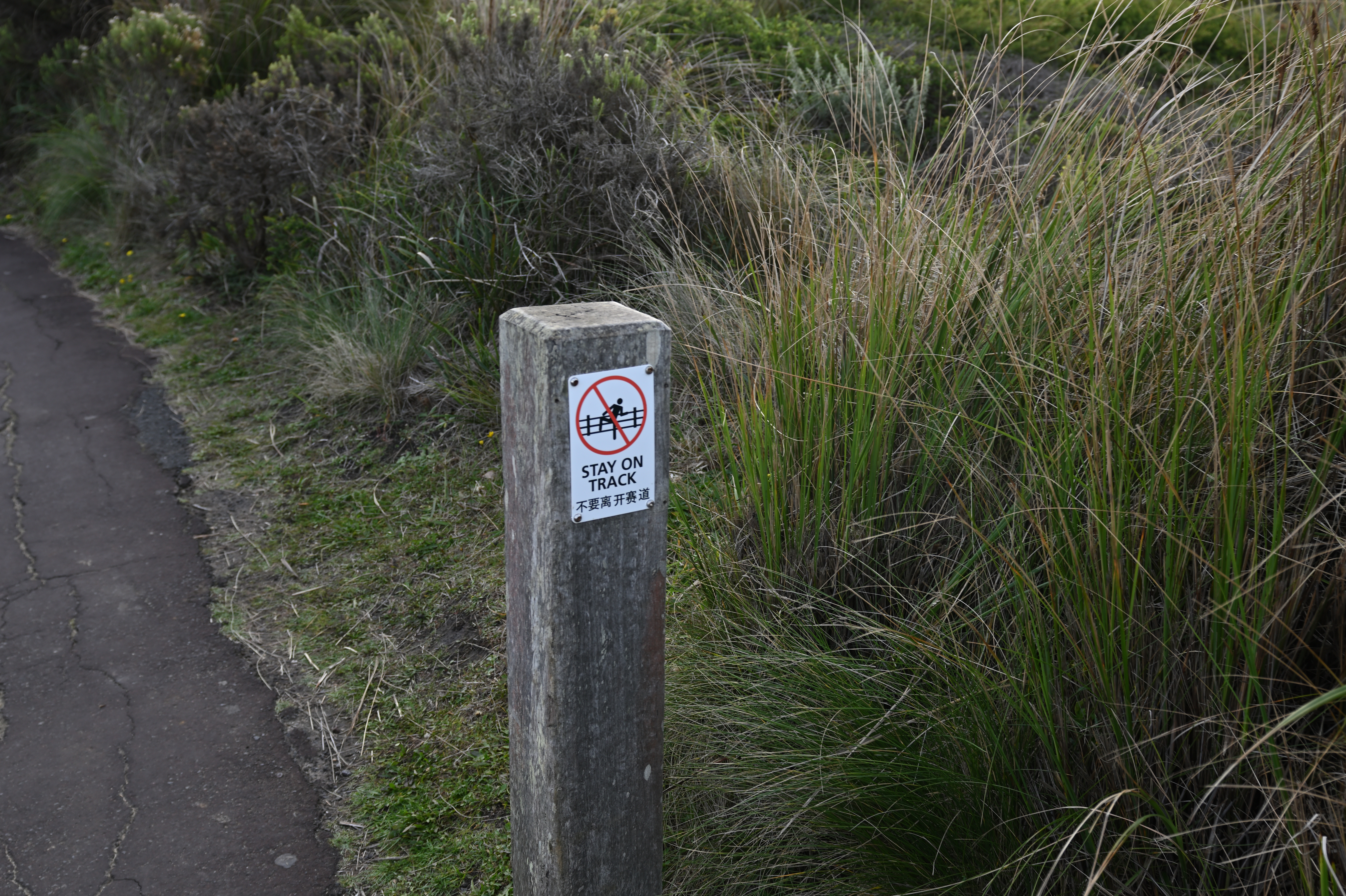 GUM_1035.JPG