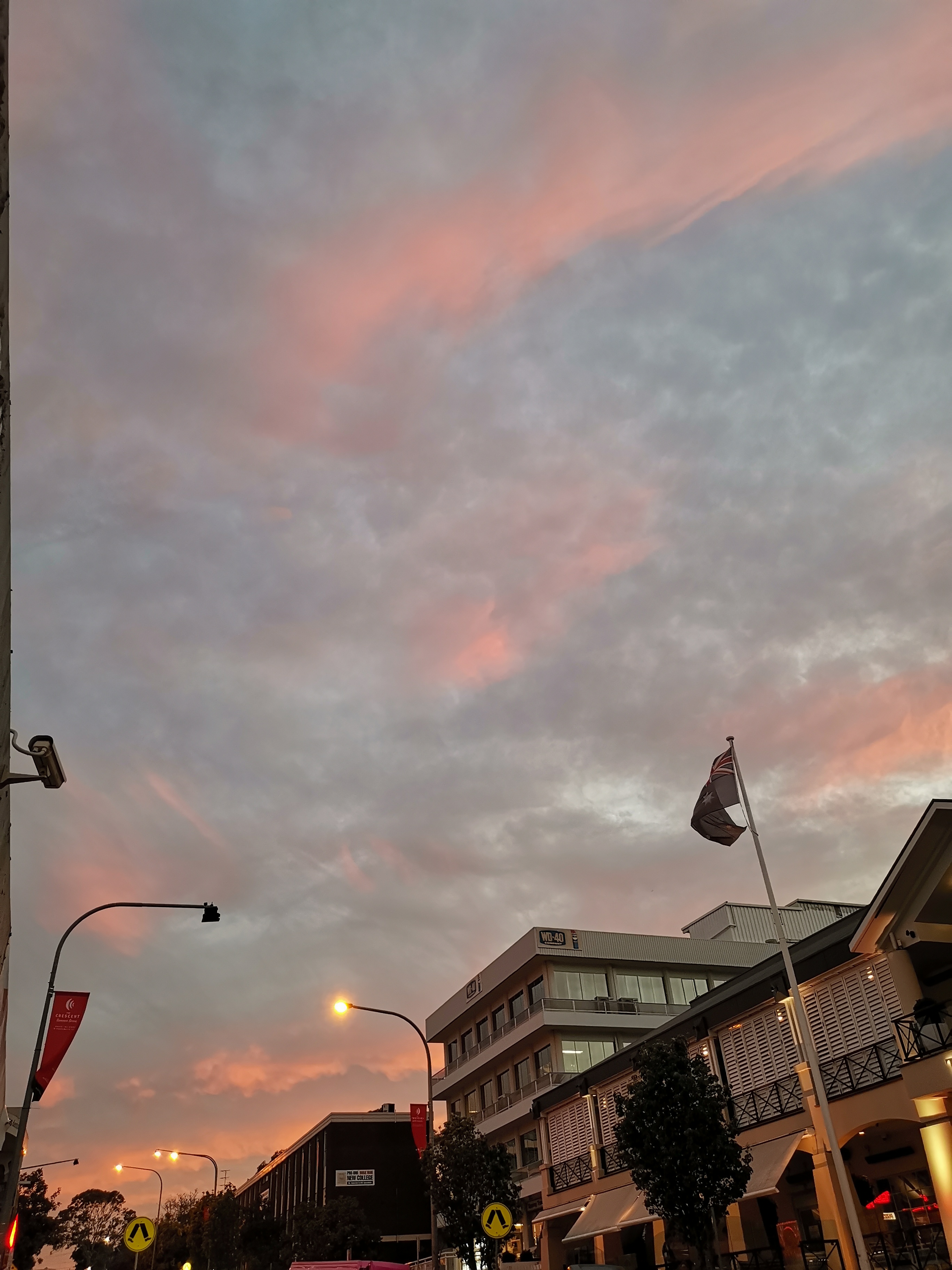 IMG_20191115_194420.jpg