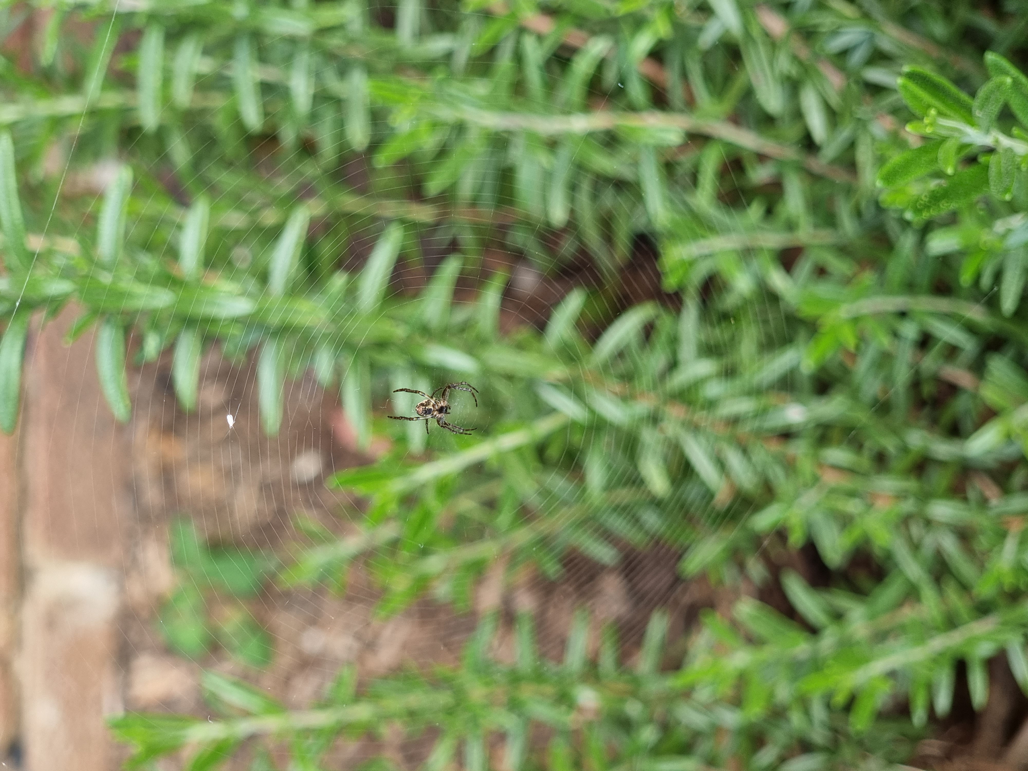 20210828_121500.jpg