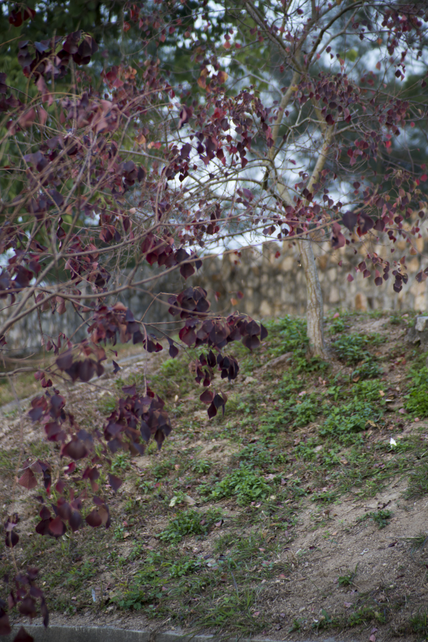 DSC02218.jpg