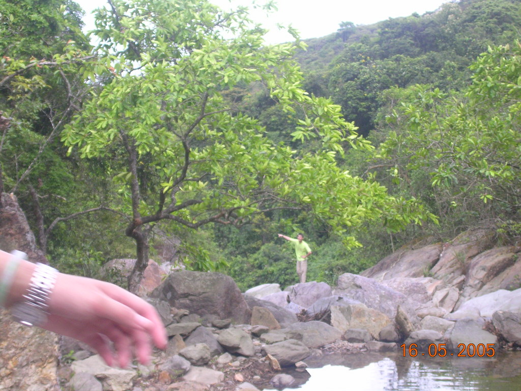 DSCN0997.JPG