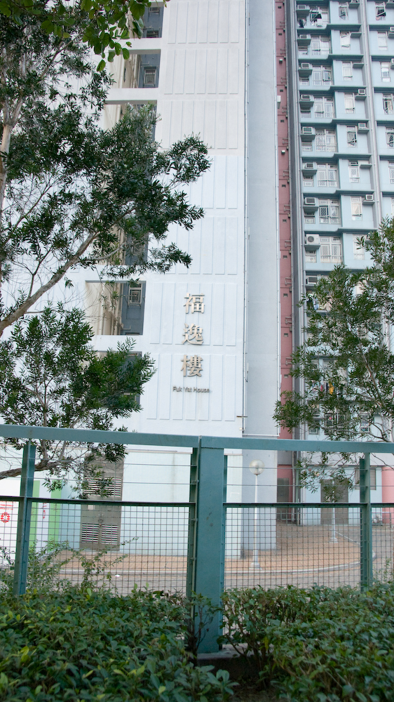 dsc02715.jpg