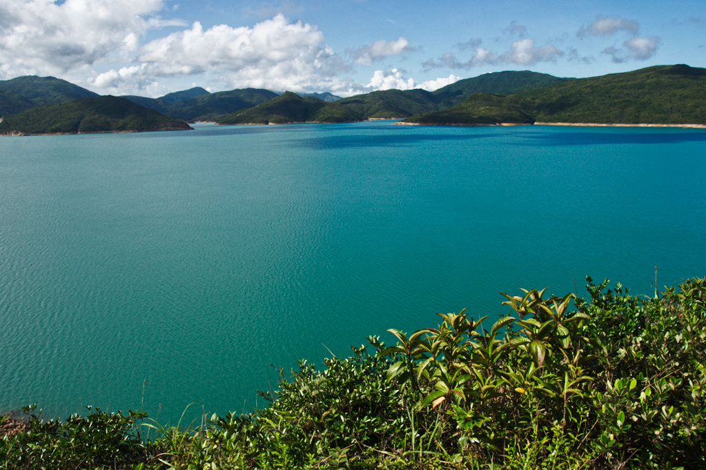 DSC02488_lzn.jpg