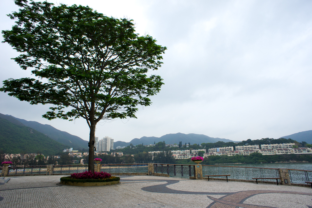 DSC03785.jpg
