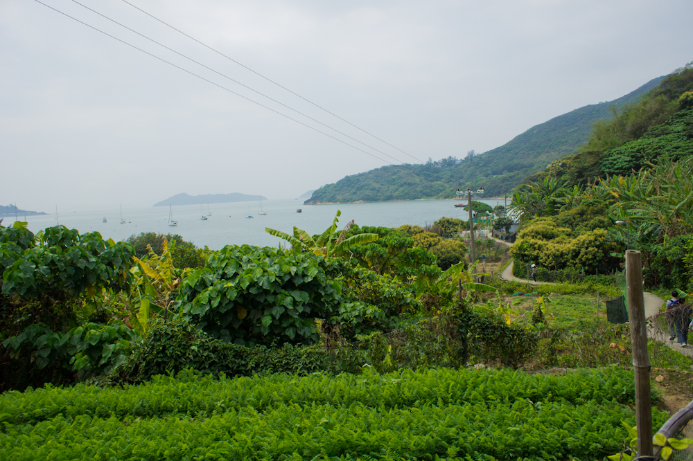 DSC03809.jpg