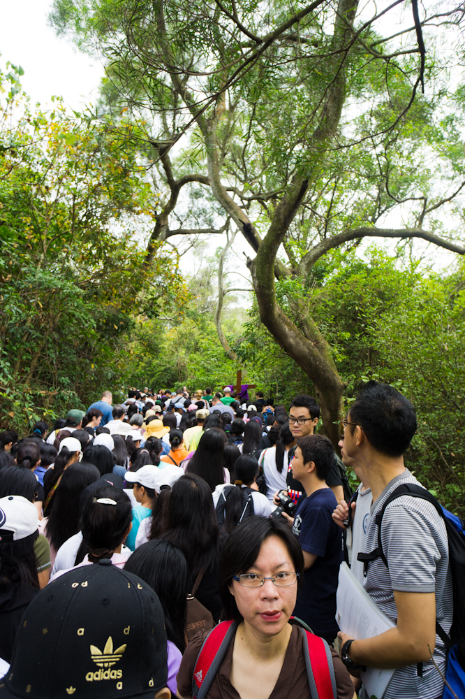 DSC03824.jpg