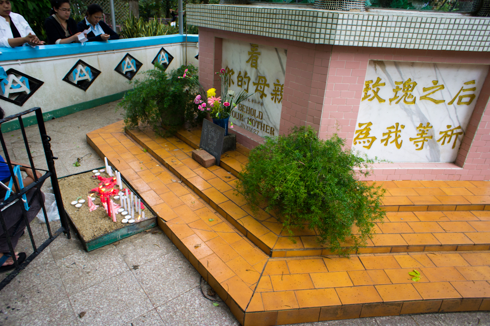 DSC03856.jpg
