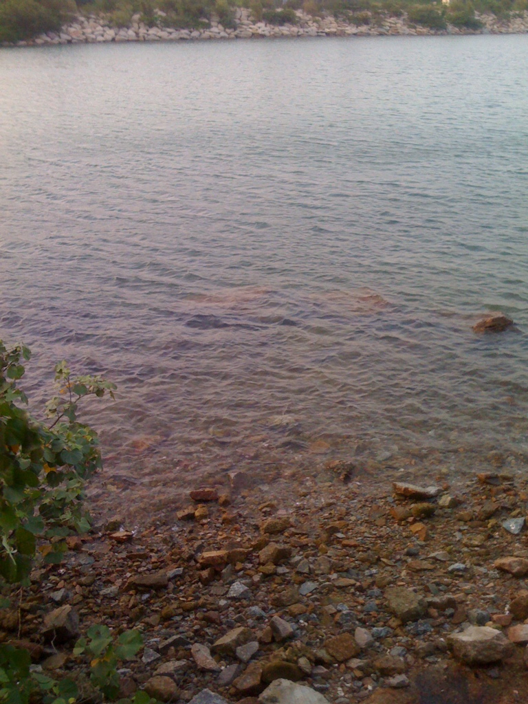 IMG_0202.jpg