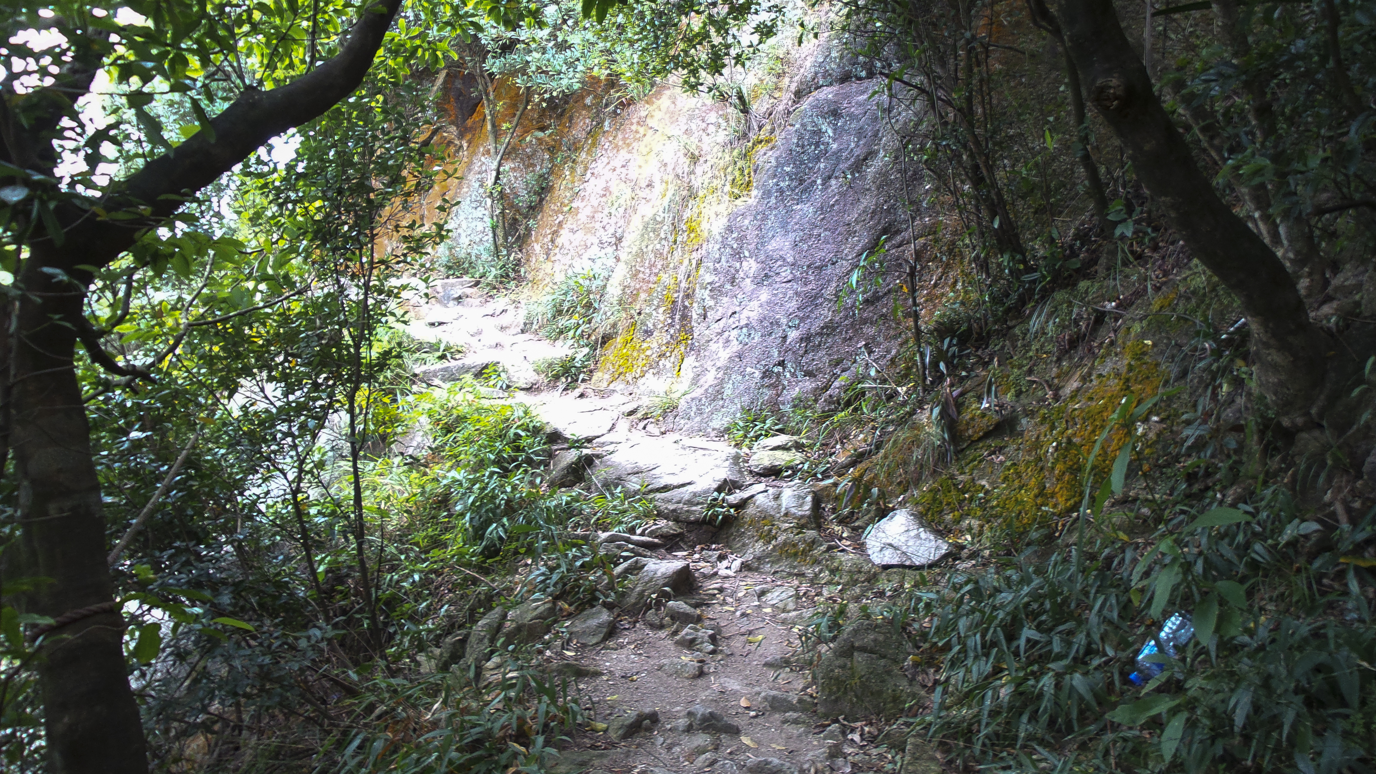 DSC_0593.jpg