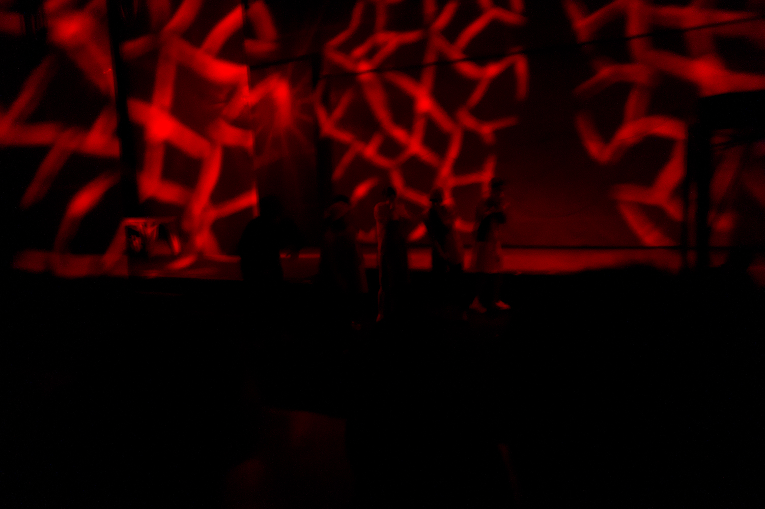 DSC01430.jpg
