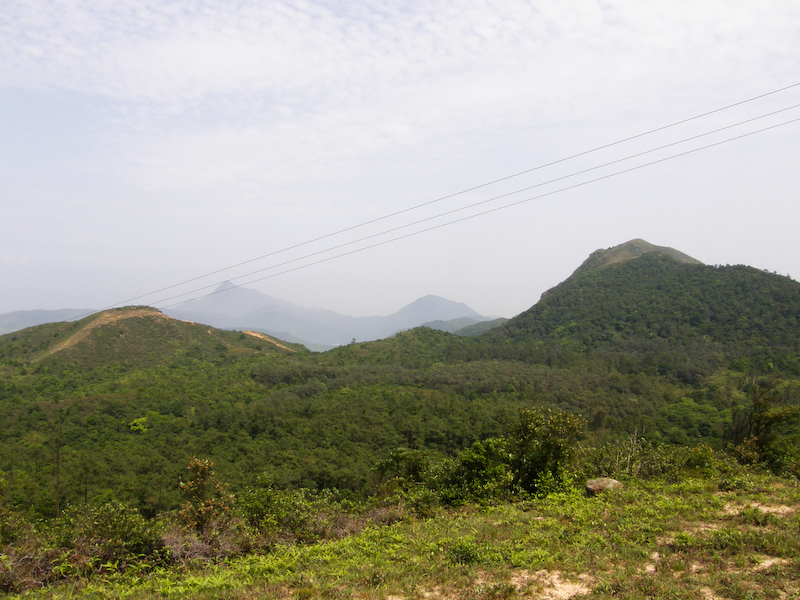 P5010102.jpg
