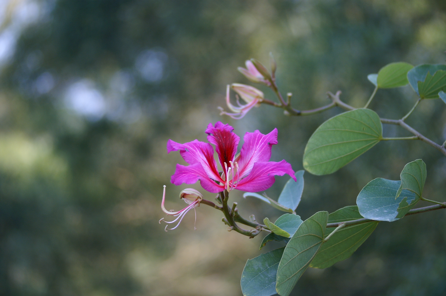 PICT0053.JPG