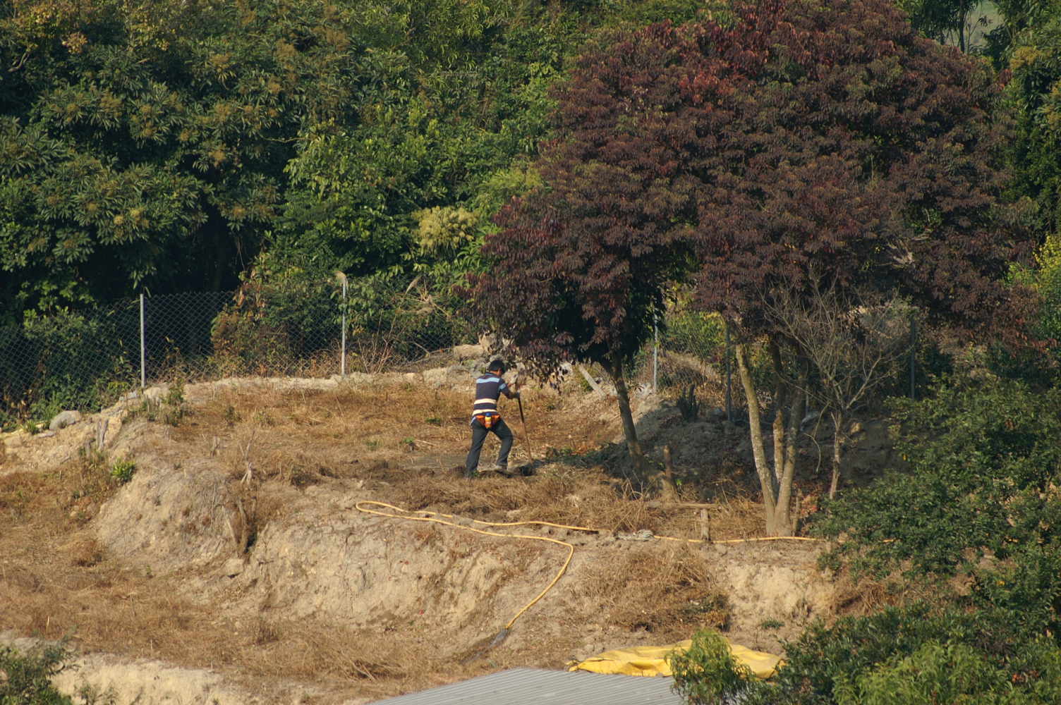 PICT0056.JPG