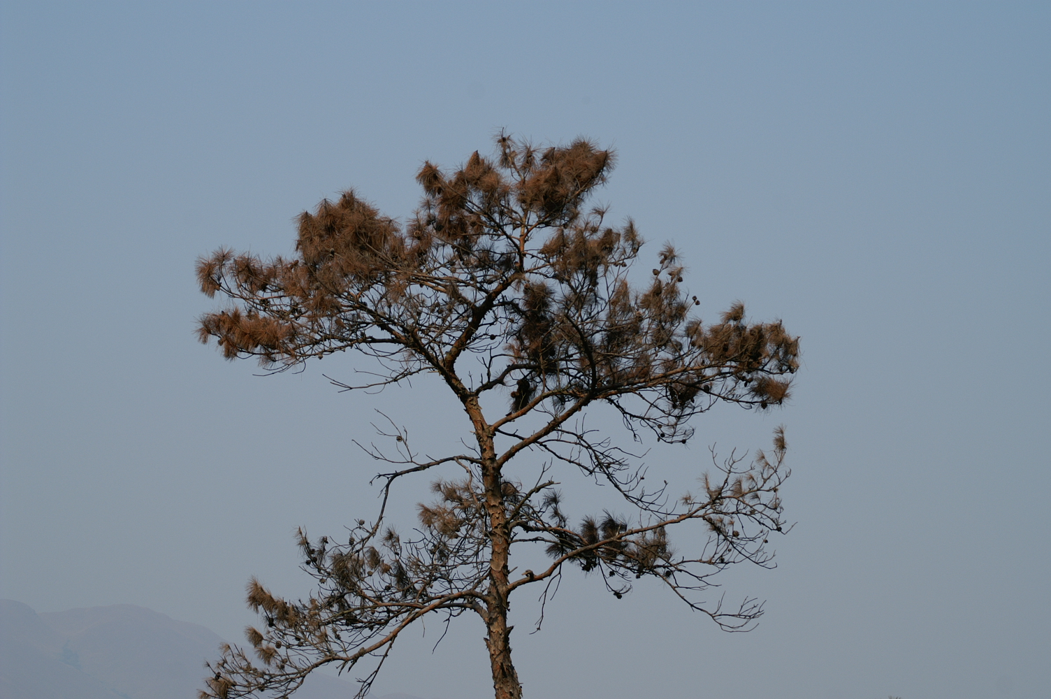 PICT0059.JPG