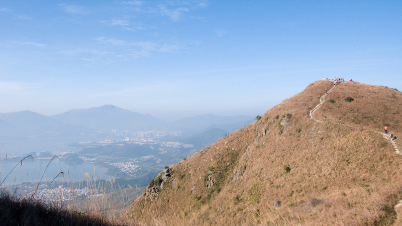 P1000853.jpg