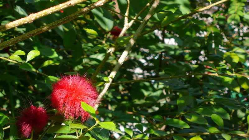 P1000943.jpg
