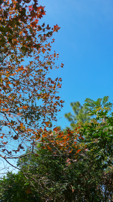 P1000951.jpg