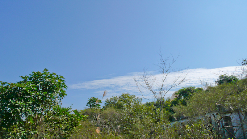 P1000952.jpg