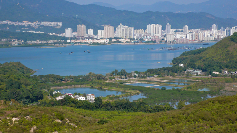 P1000954.jpg