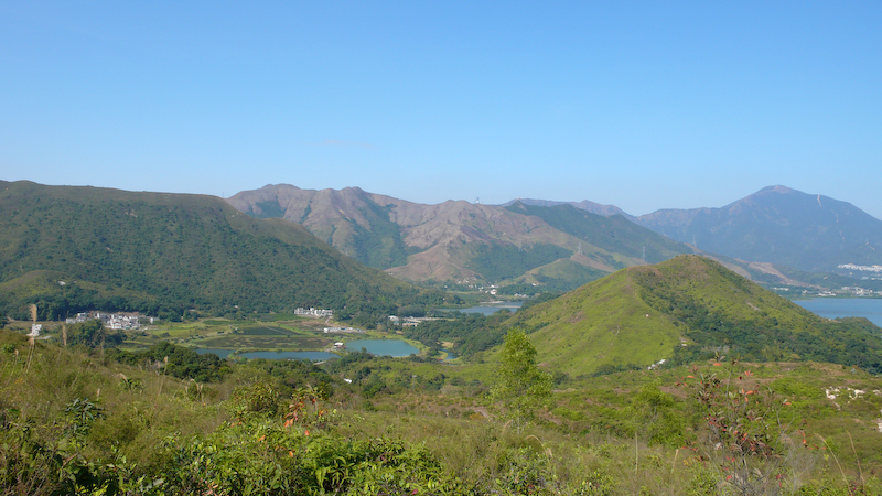 P1000956.jpg