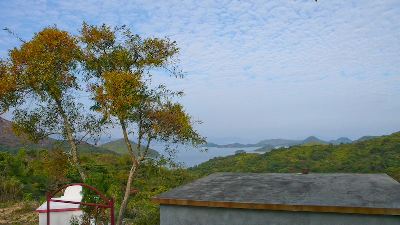 P1010003.jpg