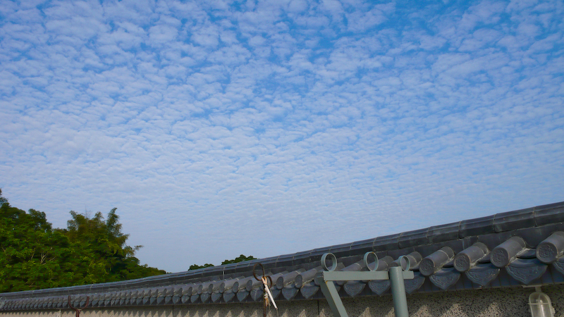 P1010010.jpg
