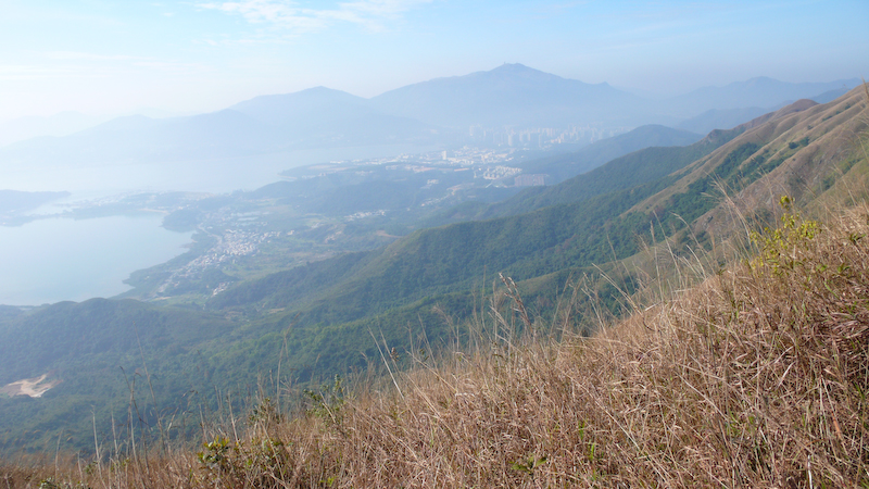 P1000881.jpg