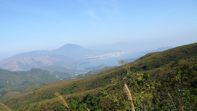 P1000917.jpg