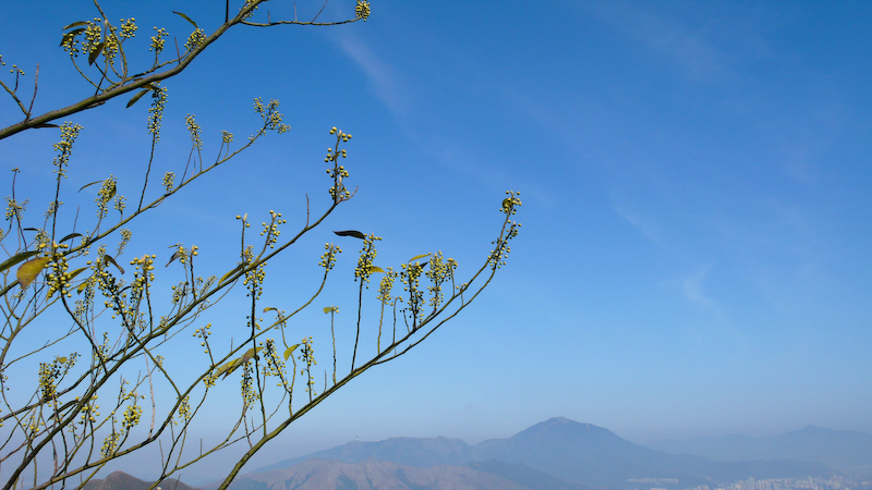 P1000919.jpg