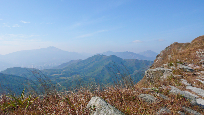 P1000923.jpg