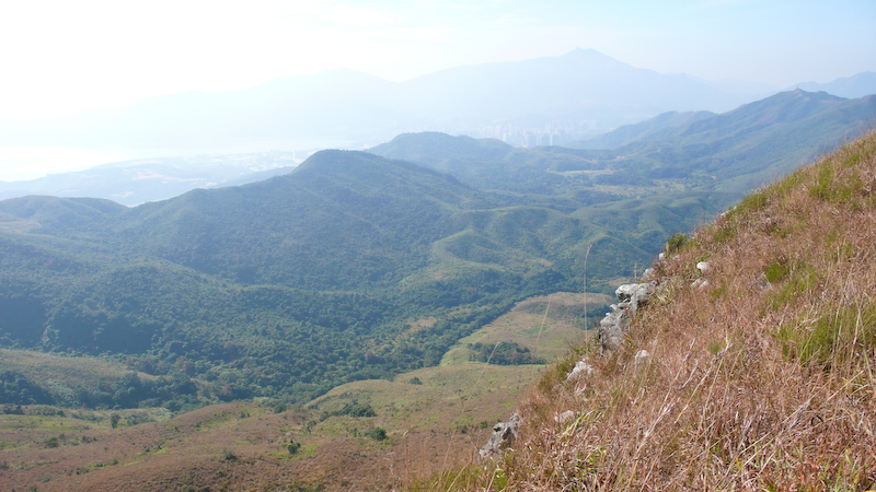 P1000924.jpg