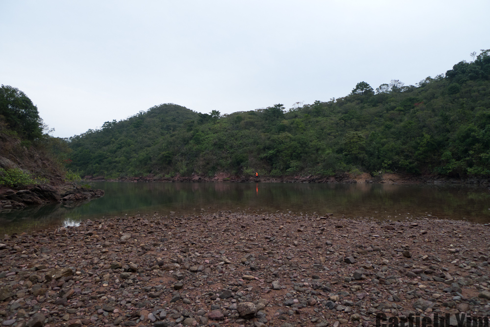P1020314.jpg