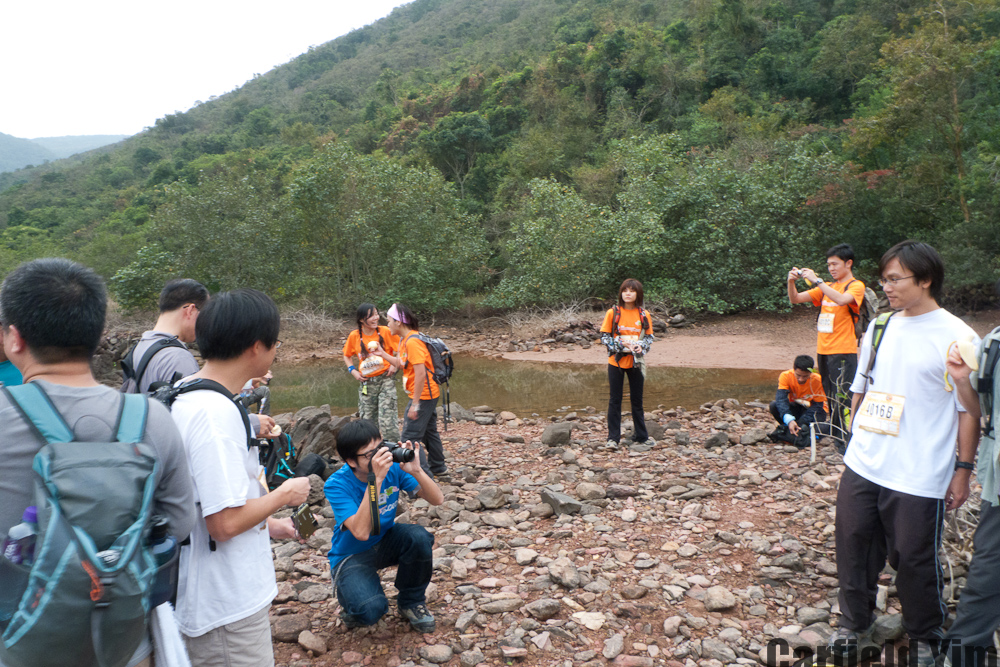 P1020317.jpg