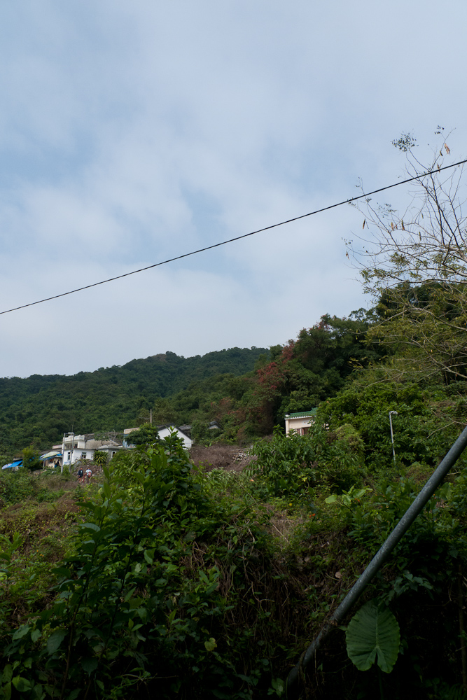 P1020329.jpg