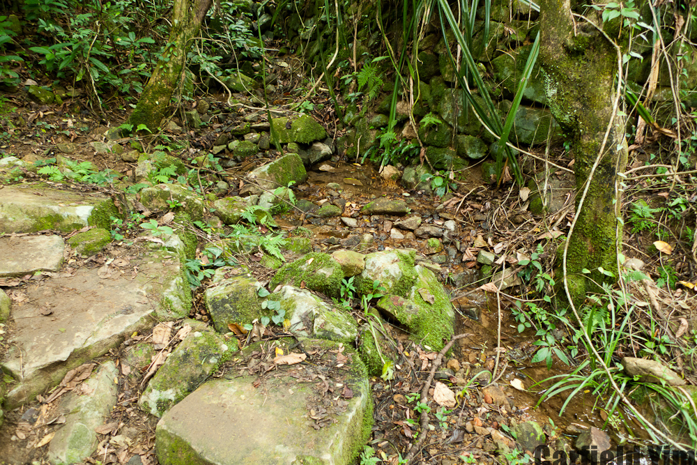 P1020339.jpg