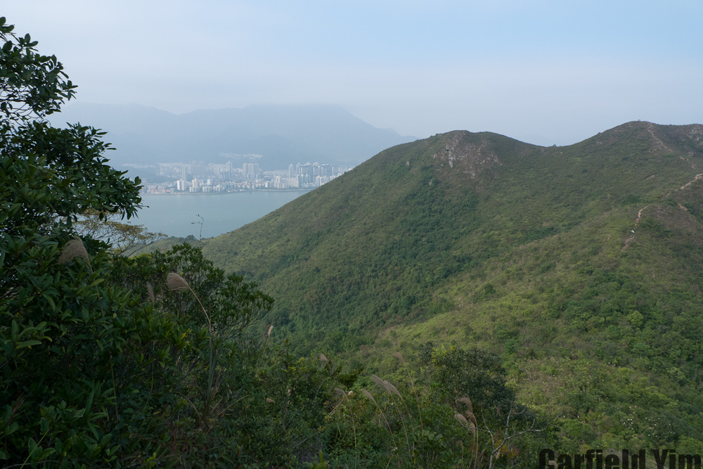 P1020345.jpg