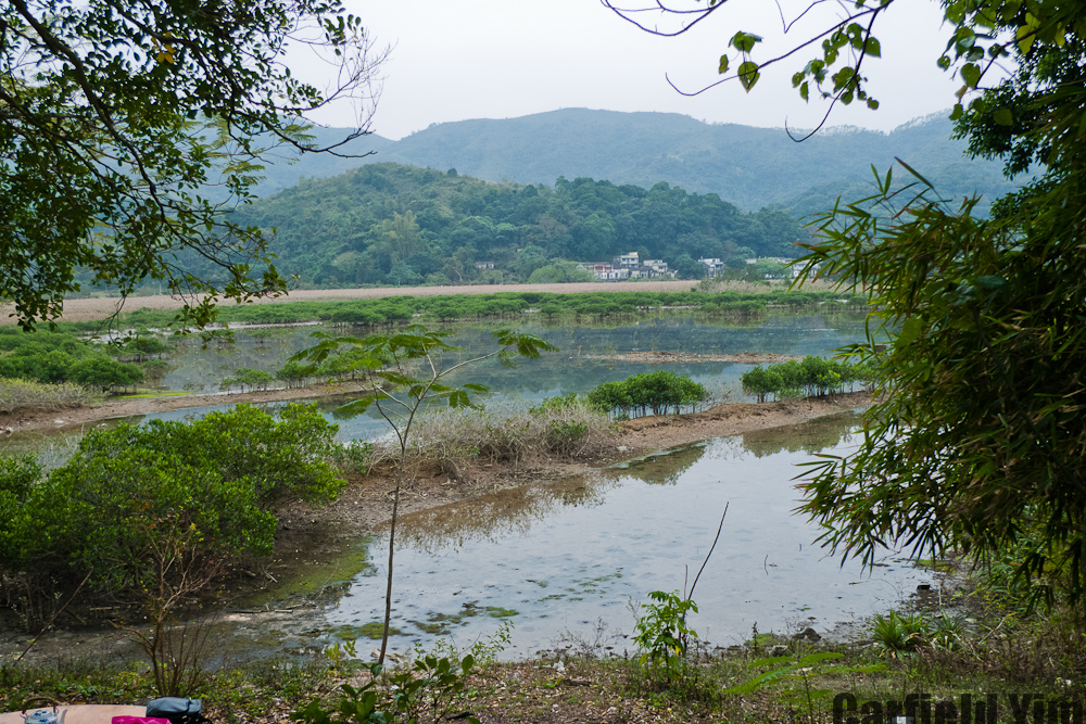 P1020353.jpg