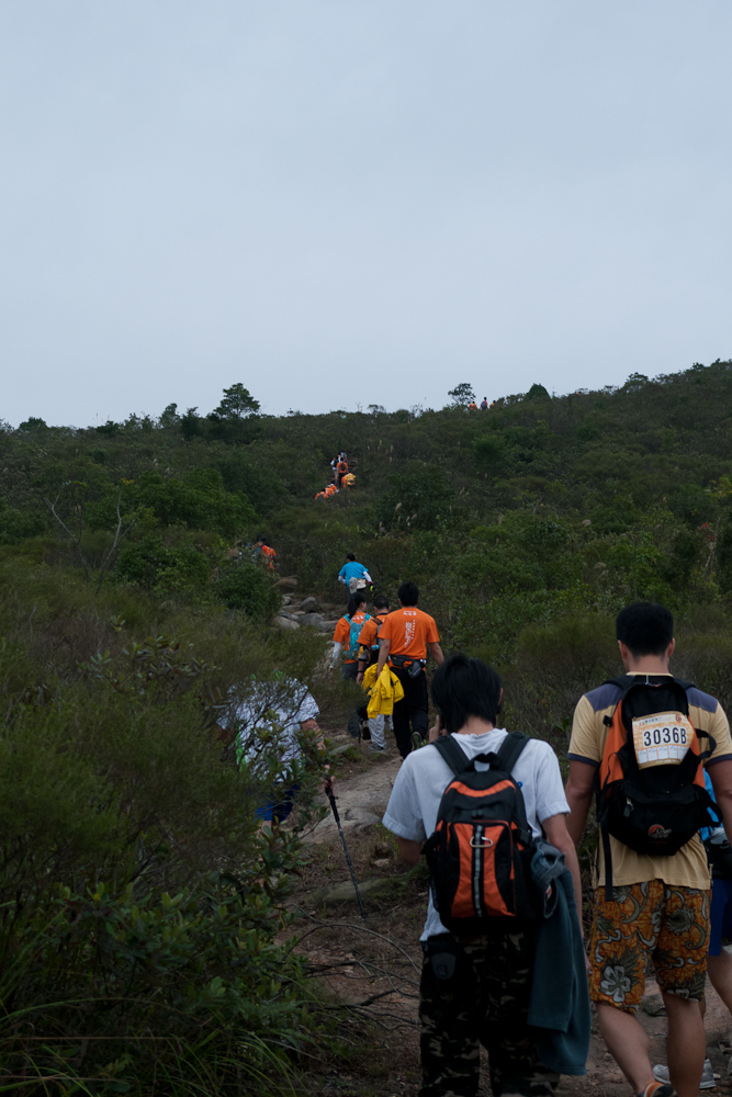 p1020310.jpg