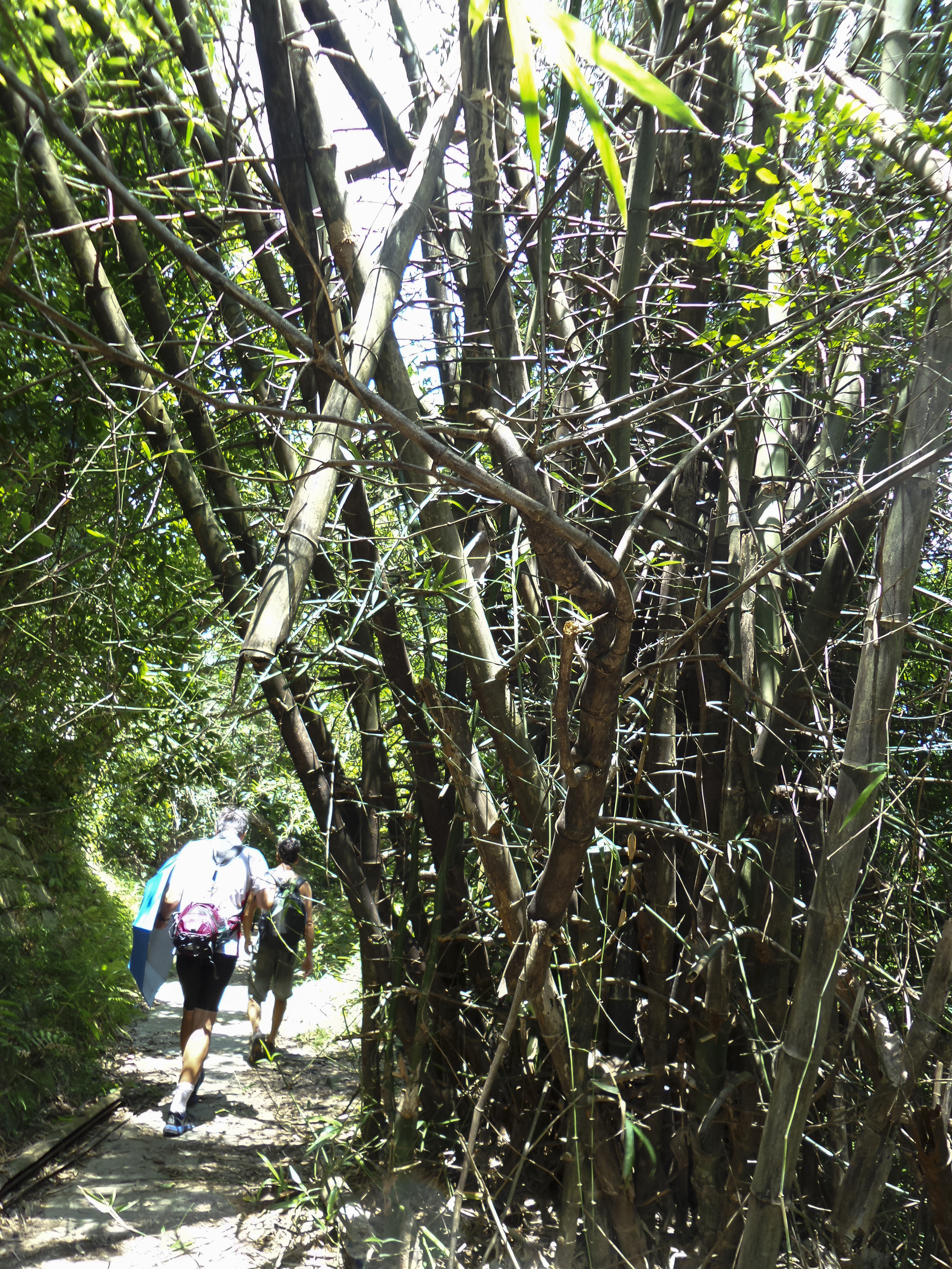 DSC_0120.jpg