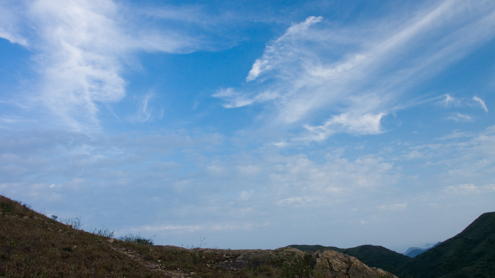 dsc08885.jpg
