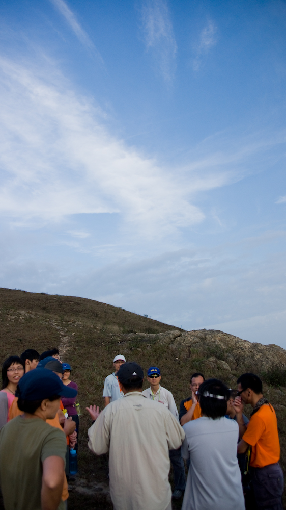dsc08894.jpg
