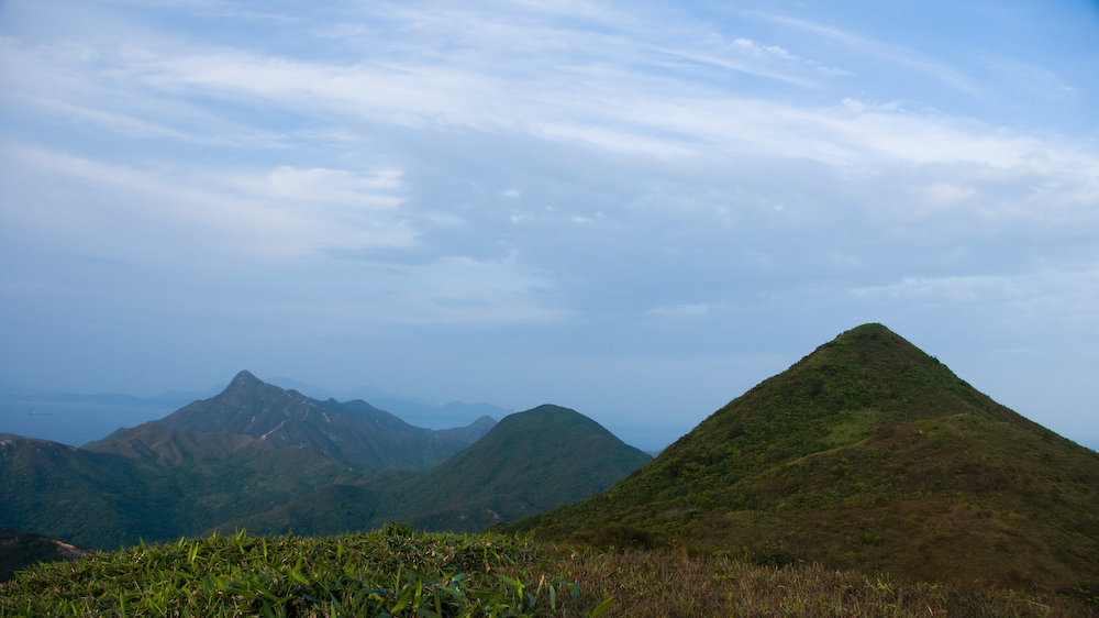 dsc08917.jpg