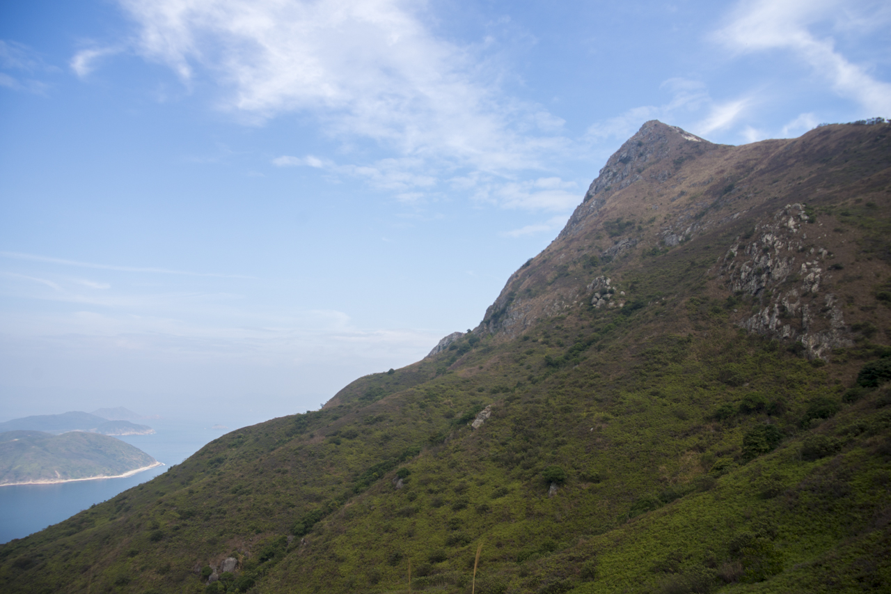 DSC02295.jpg