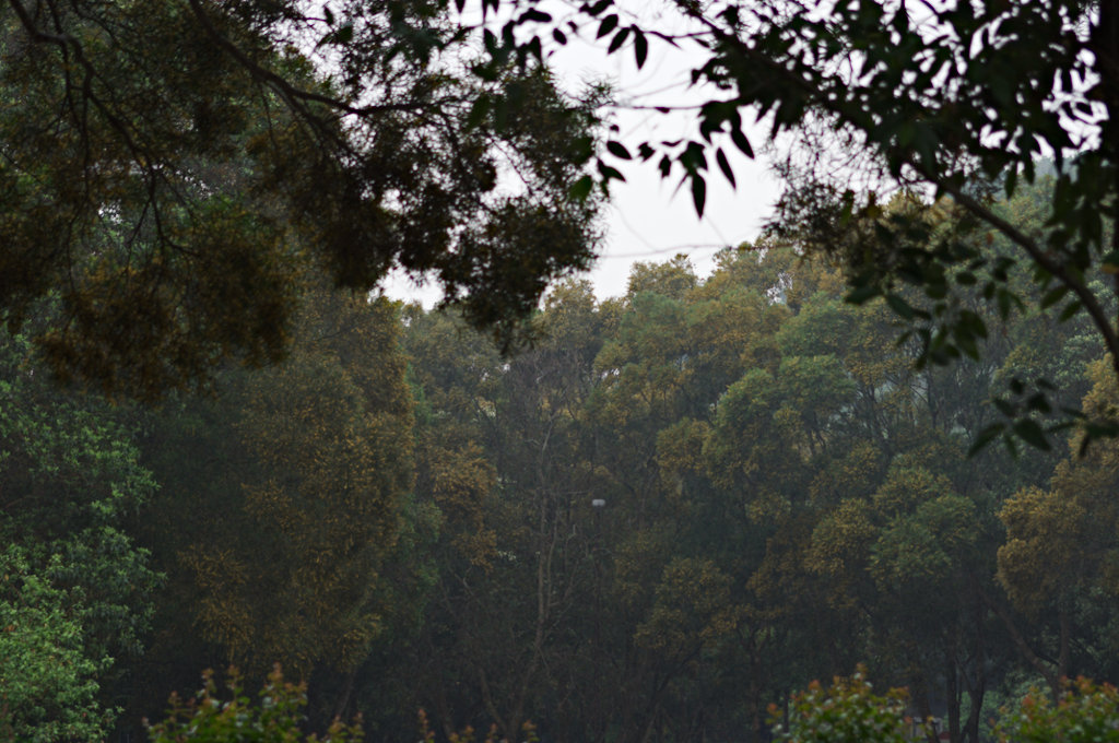 DSC02058_lzn.jpg