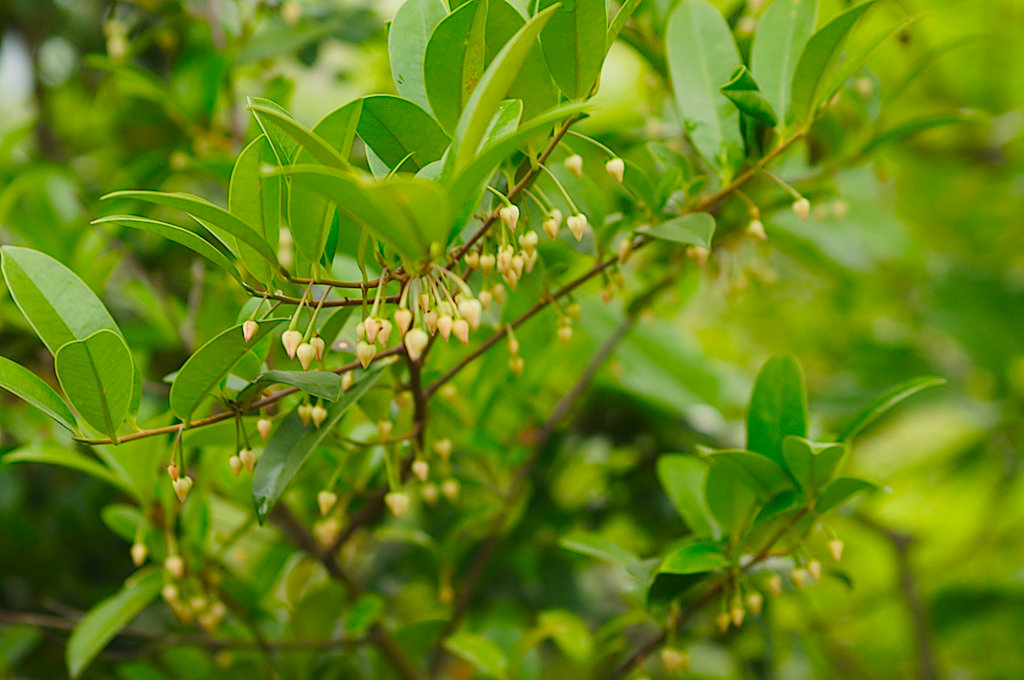 DSC02097_lzn.jpg