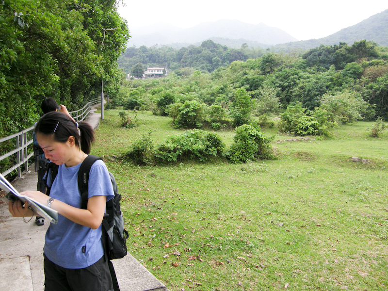 P4290012.jpg