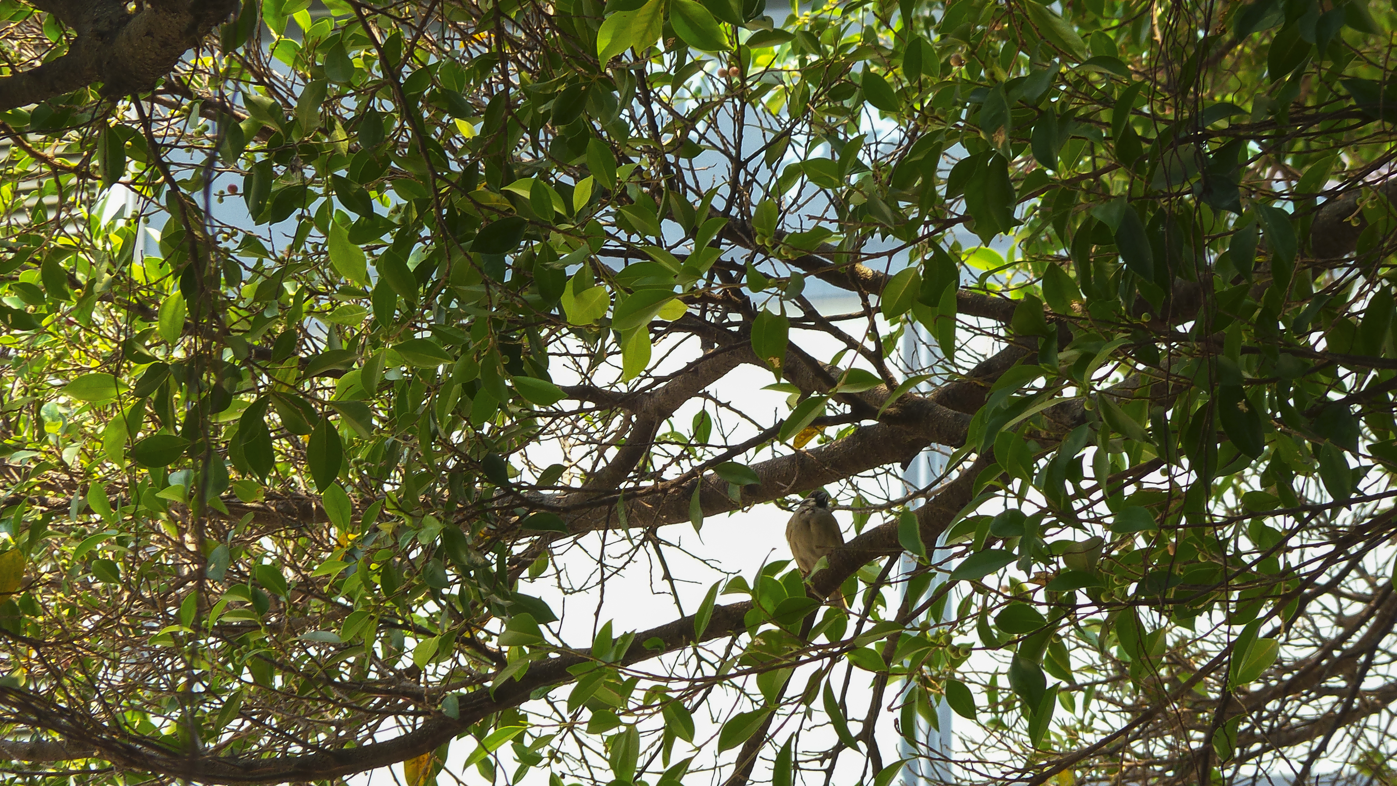 DSC_1203.jpg