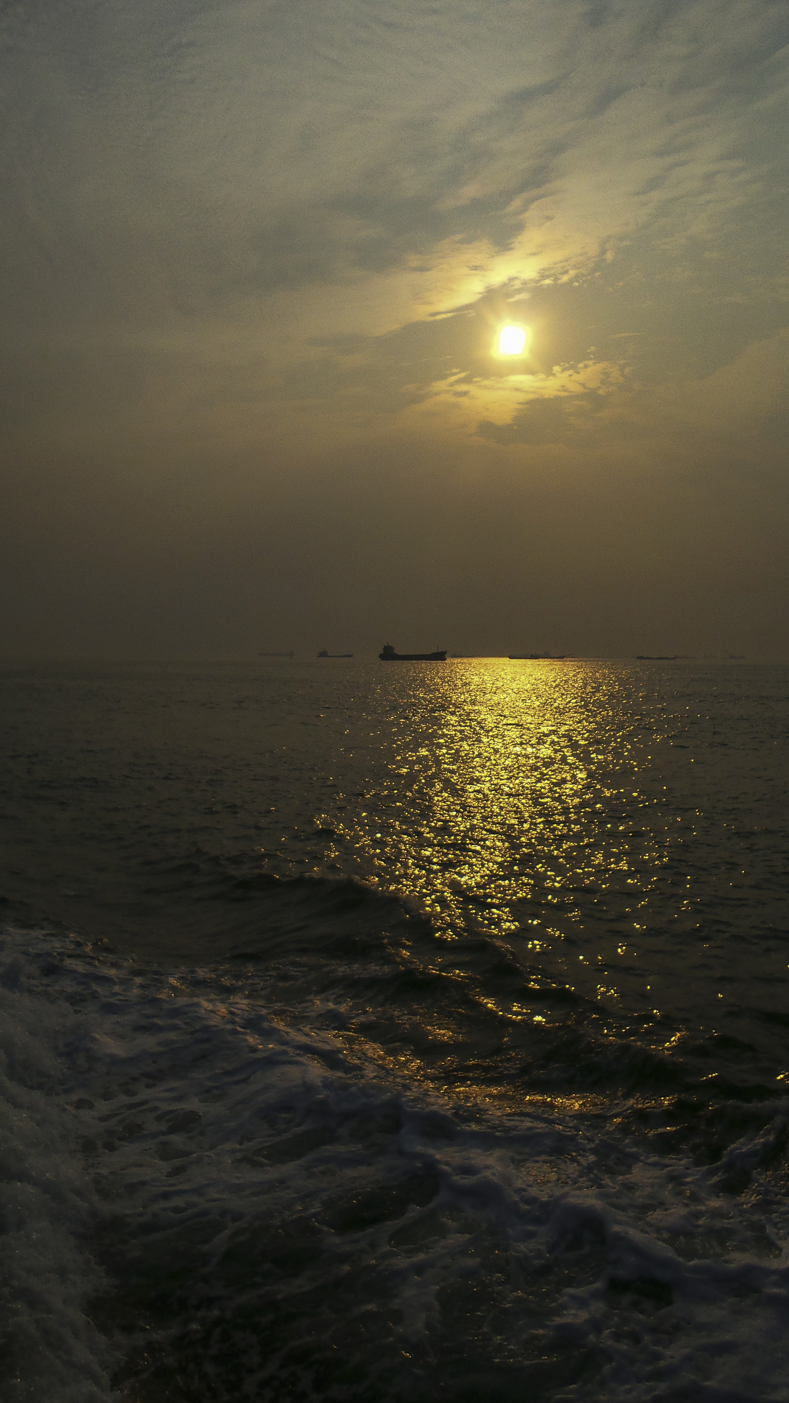DSC_1237.jpg