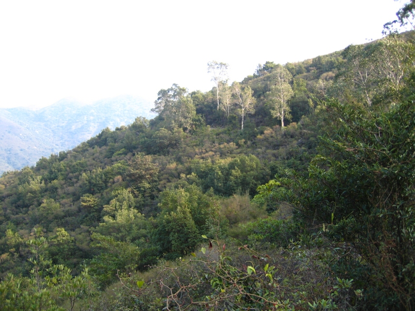 IMG_0640.jpg