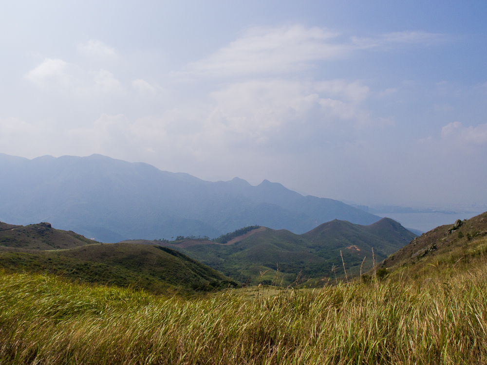 PA221211.jpg